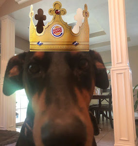 Meet your Posher, No